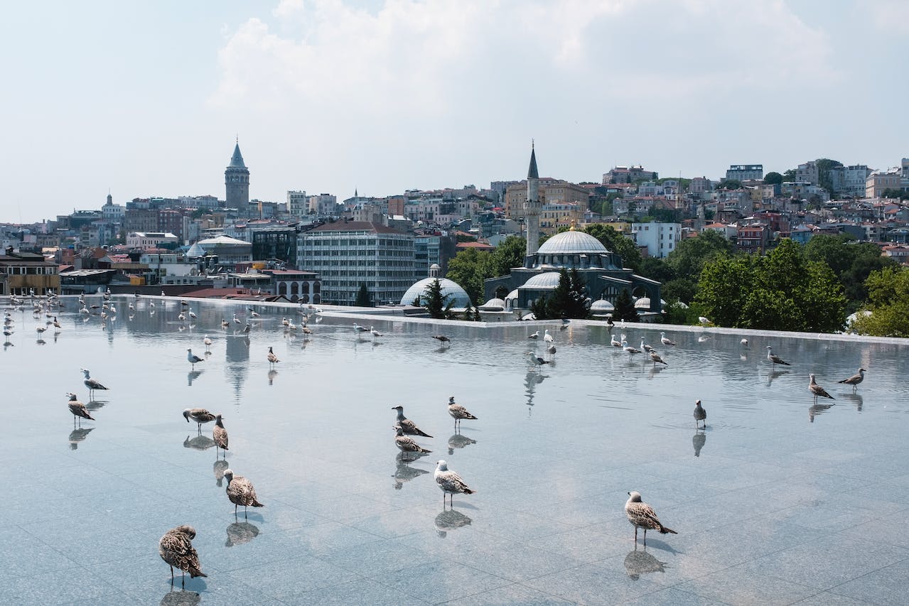 Istanbul Shuttle Here | Affordable, Reliable and Professional Airport Transfer