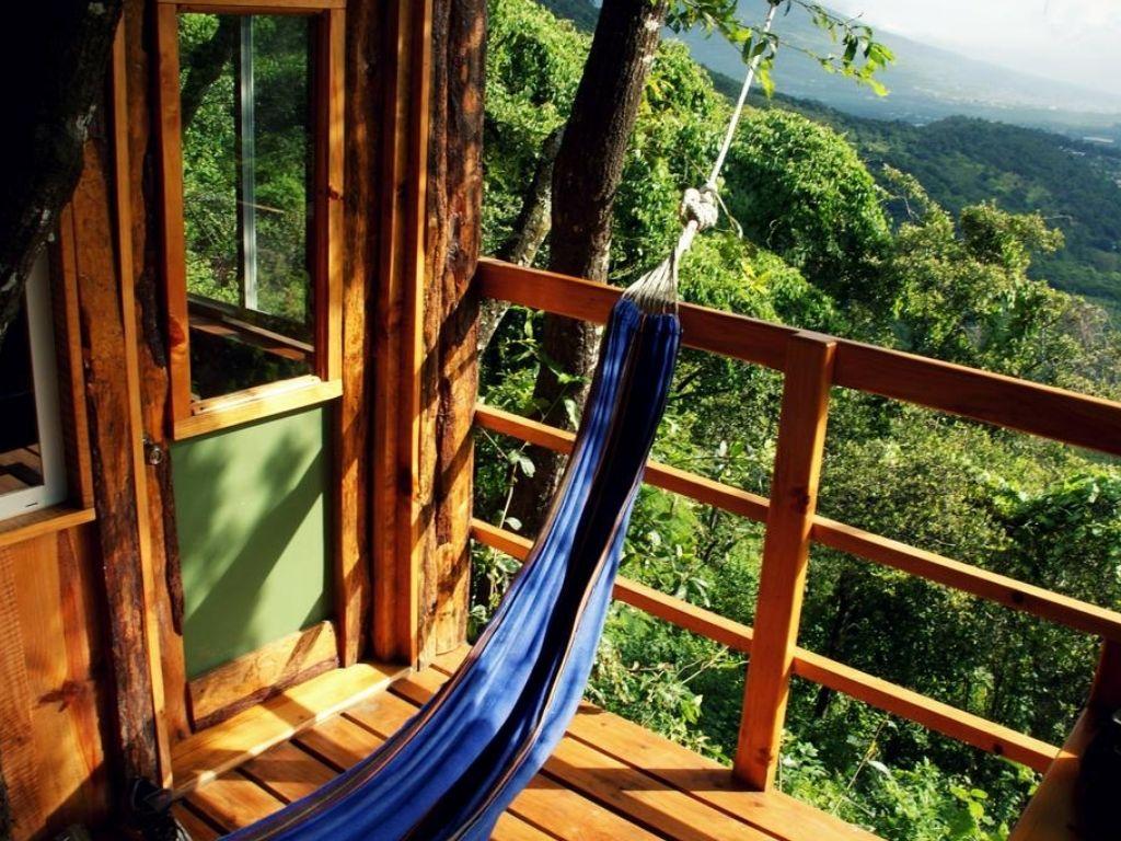 Treehouse Lodge